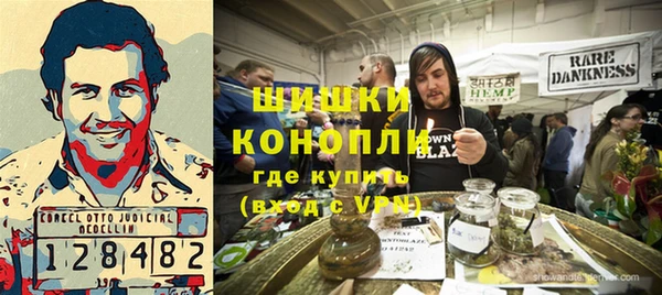 трава Осинники