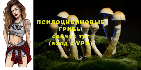 трава Осинники